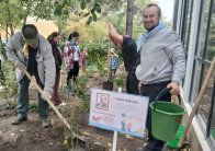 День древонасаждения